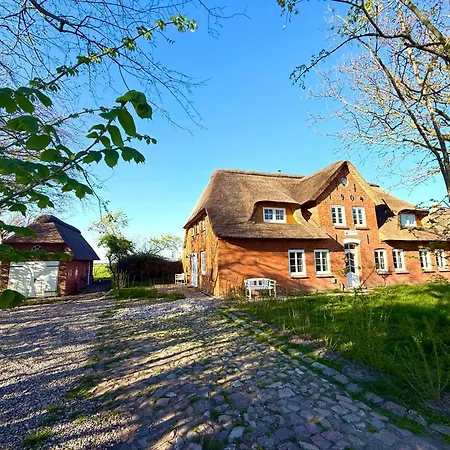 Det Danske Hus - Steuerbord *